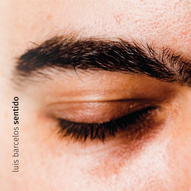 Capa do álbum Sentido, de Luis Barcelos